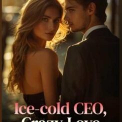 Ice-Cold CEO, Crazy Love novel by Christin Donald review